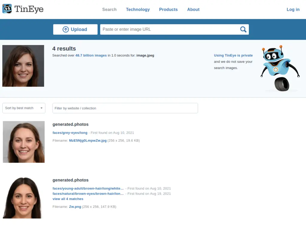 Screenshot of the TinEye website where the fake profile picture was identified successfully.