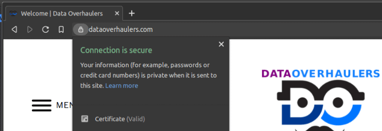 brave browser security