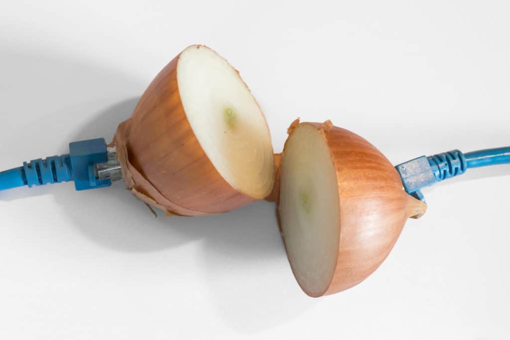 Bifurcated onion with internet cable connected to the ends--humorous concept for onion over vpn