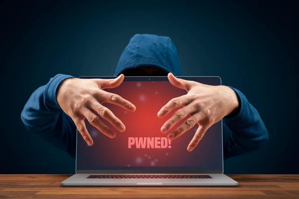 Hacker with face obscured by a laptop reading pwned... As in owned or hacked by a password leak