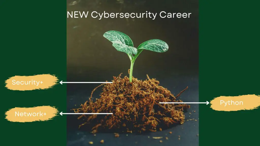 Young tree representing new cybersecurity career and roots represent entry-level-certifications