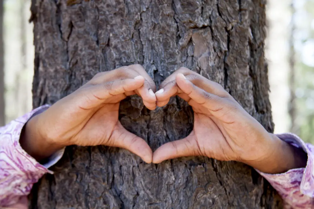 Arms wrapped around tree with hand forming a heart shape encouraging us not to print encrypted emails.